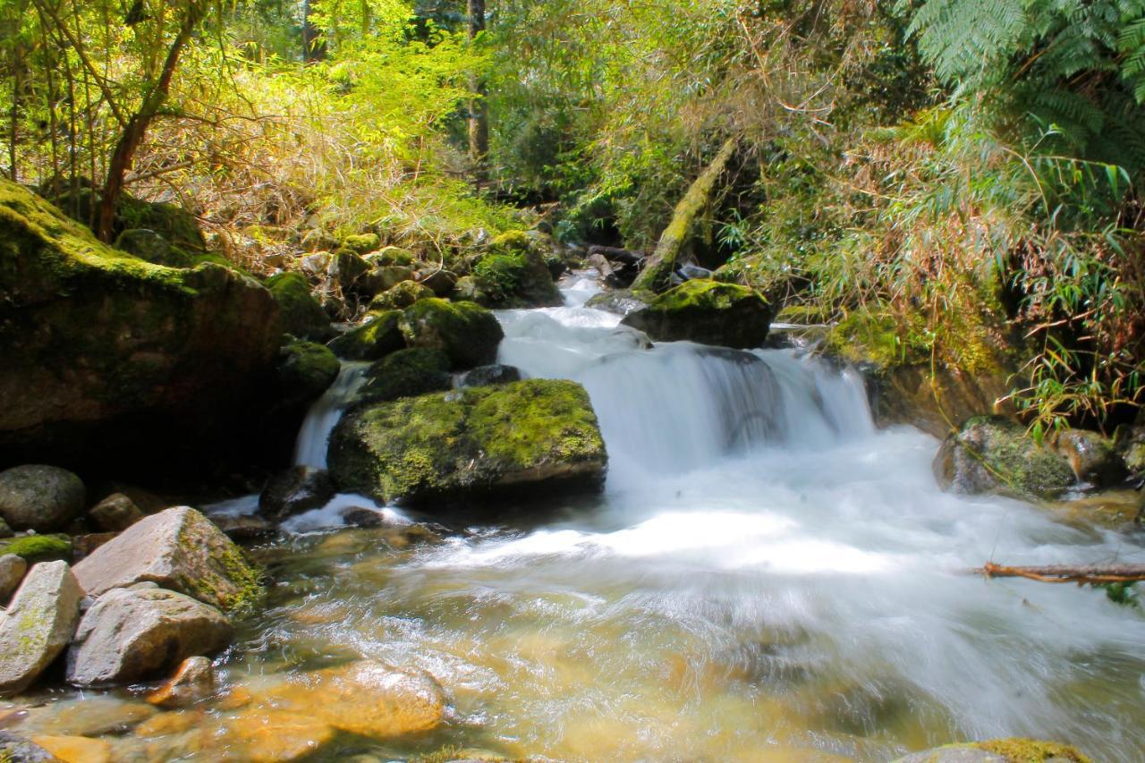 Hotel Natura Peulla المظهر الخارجي الصورة
